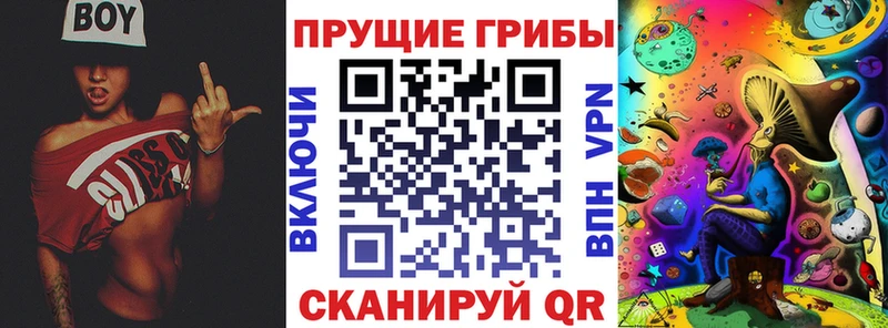 blacksprut вход  продажа наркотиков  Астрахань  Псилоцибиновые грибы прущие грибы 